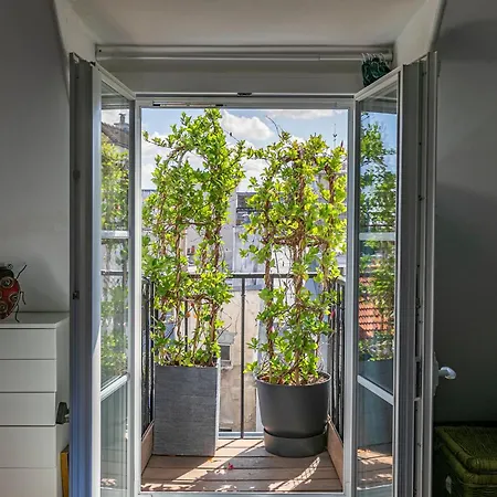 Centre Dernier Etage Vue Ascenseur Parijs