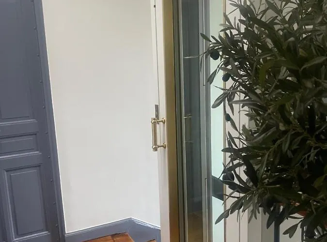 Centre Dernier Etage Vue Ascenseur